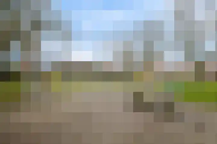 Hondemanstraat 18 Zaandam thumbnail 25