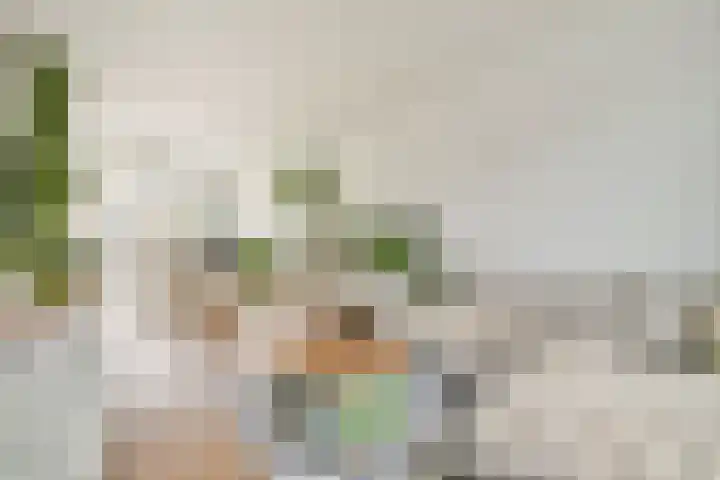 Hondemanstraat 18 Zaandam thumbnail 5