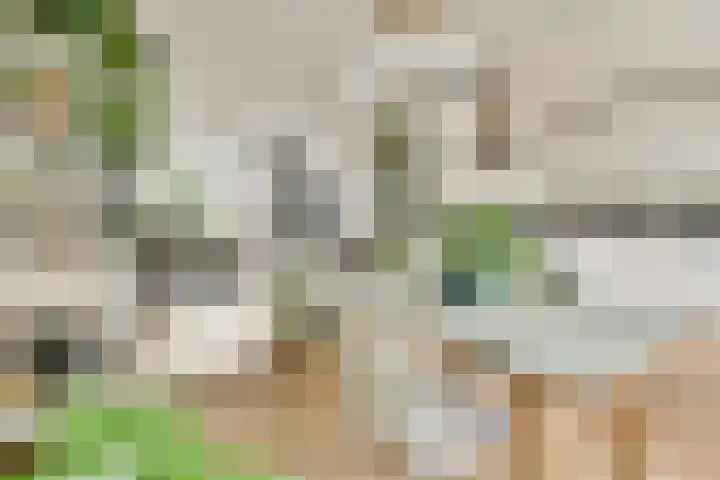 Hondemanstraat 18 Zaandam thumbnail 6