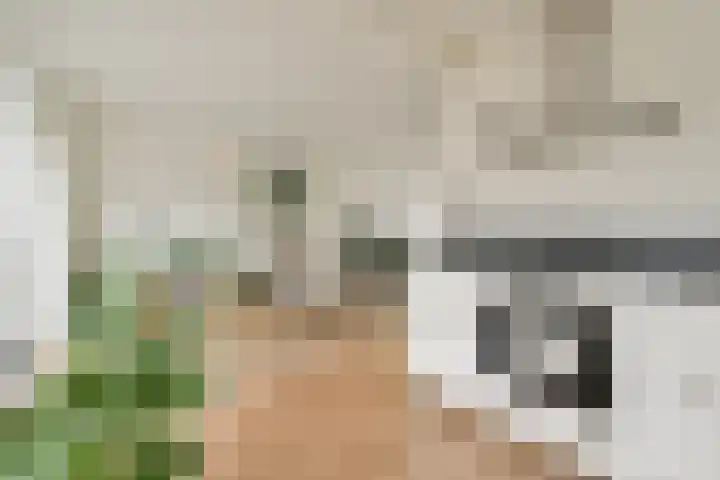 Hondemanstraat 18 Zaandam thumbnail 8