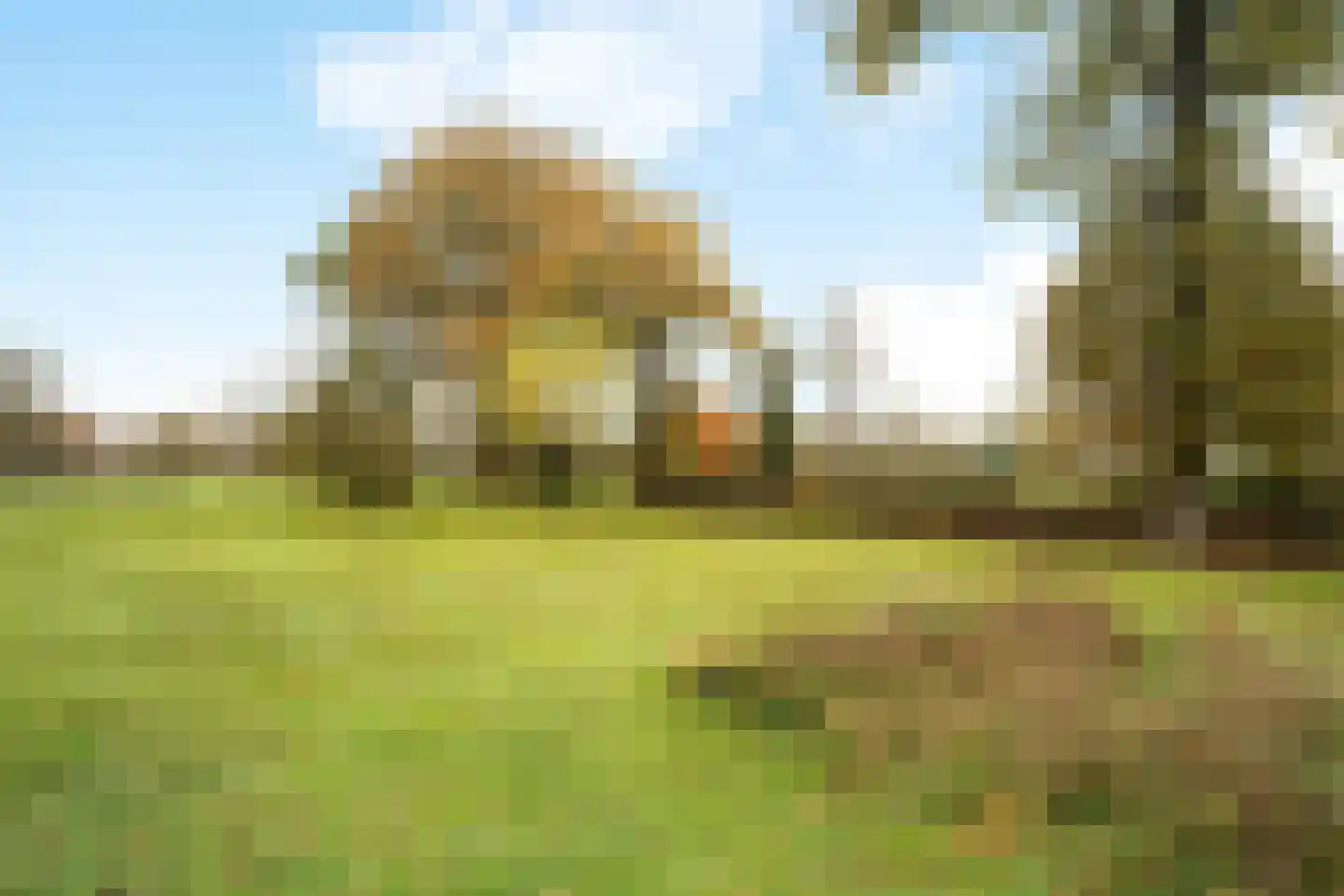 Hondemotsweg 16 Raalte thumbnail 16