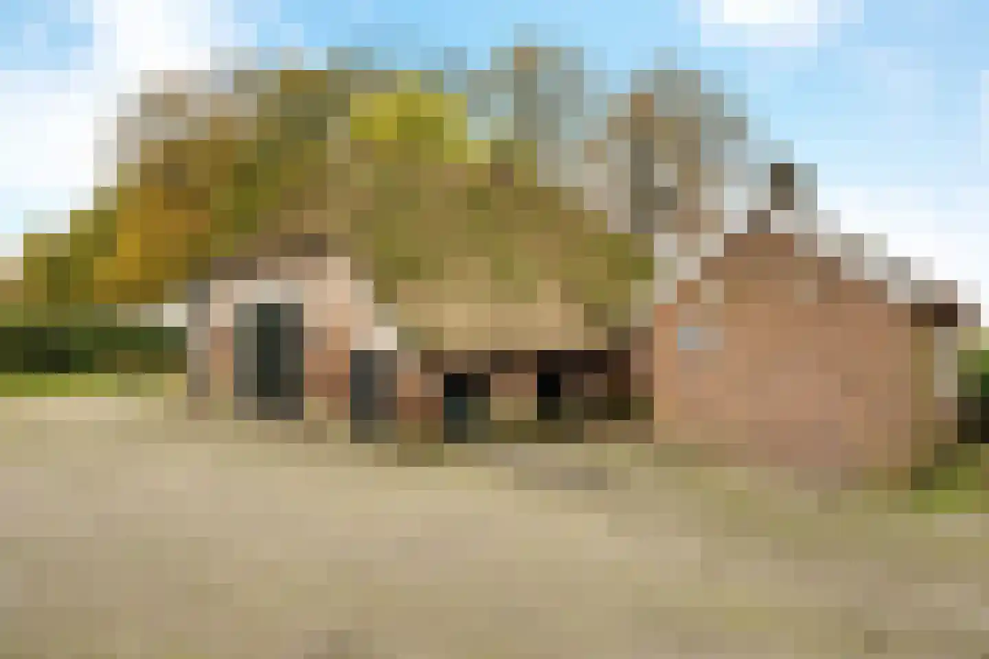 Hondemotsweg 16 Raalte thumbnail 17