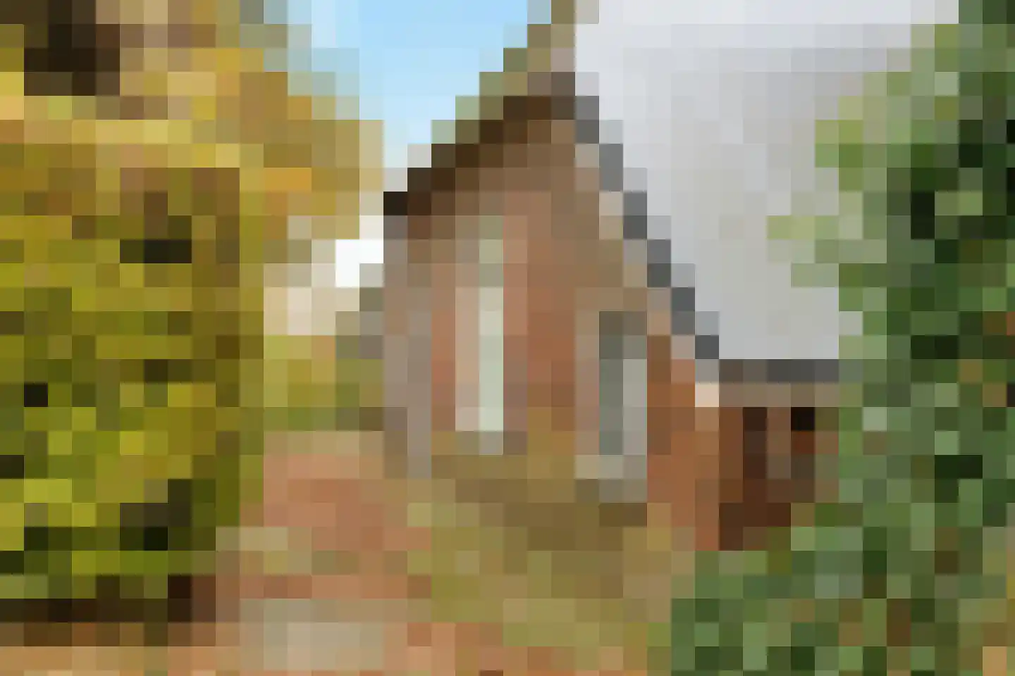 Hondemotsweg 16 Raalte thumbnail 18