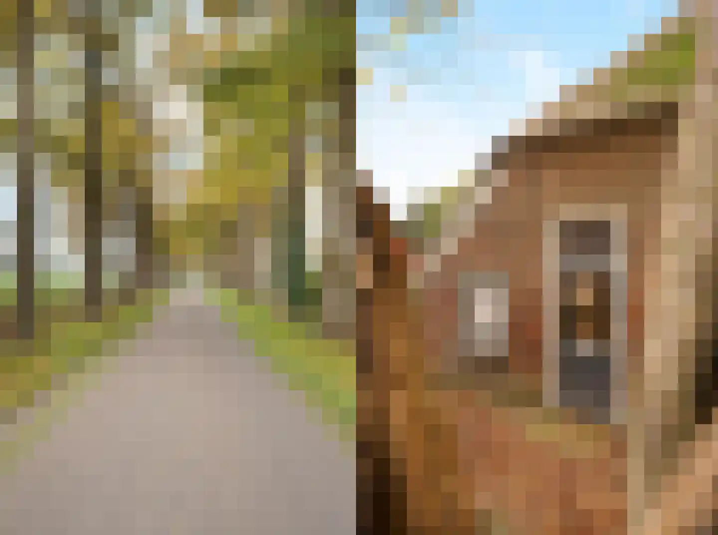 Hondemotsweg 16 Raalte thumbnail 21