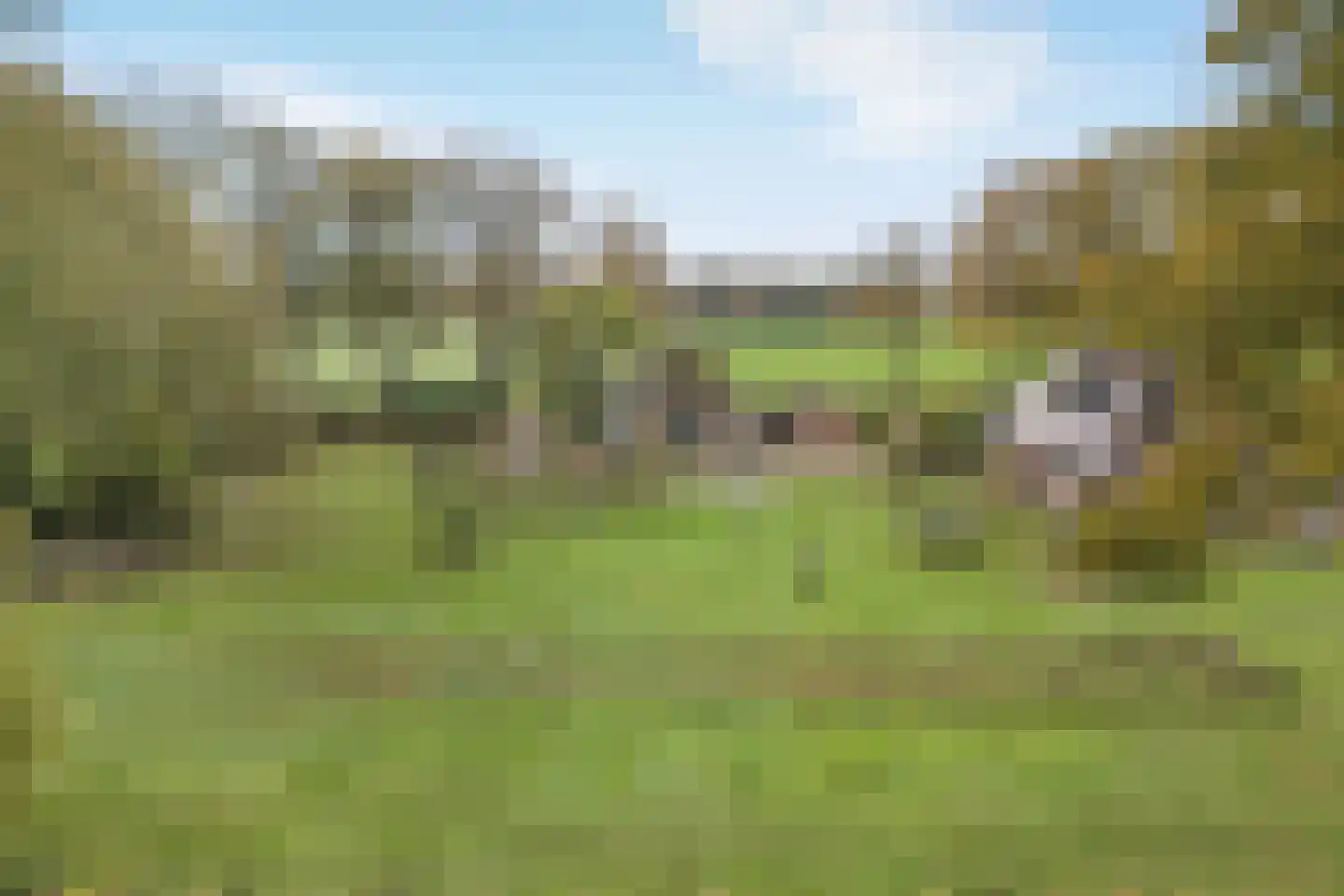 Hondemotsweg 16 Raalte thumbnail 22