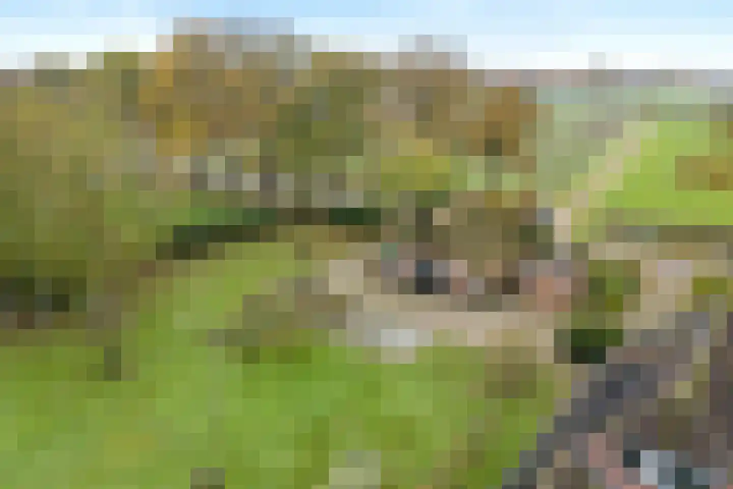 Hondemotsweg 16 Raalte thumbnail 25