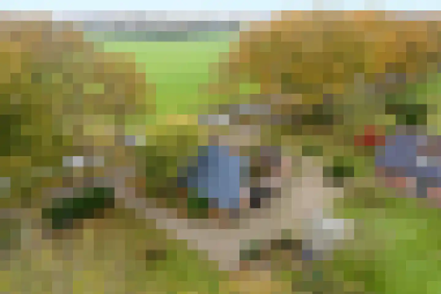 Hondemotsweg 16 Raalte thumbnail 5