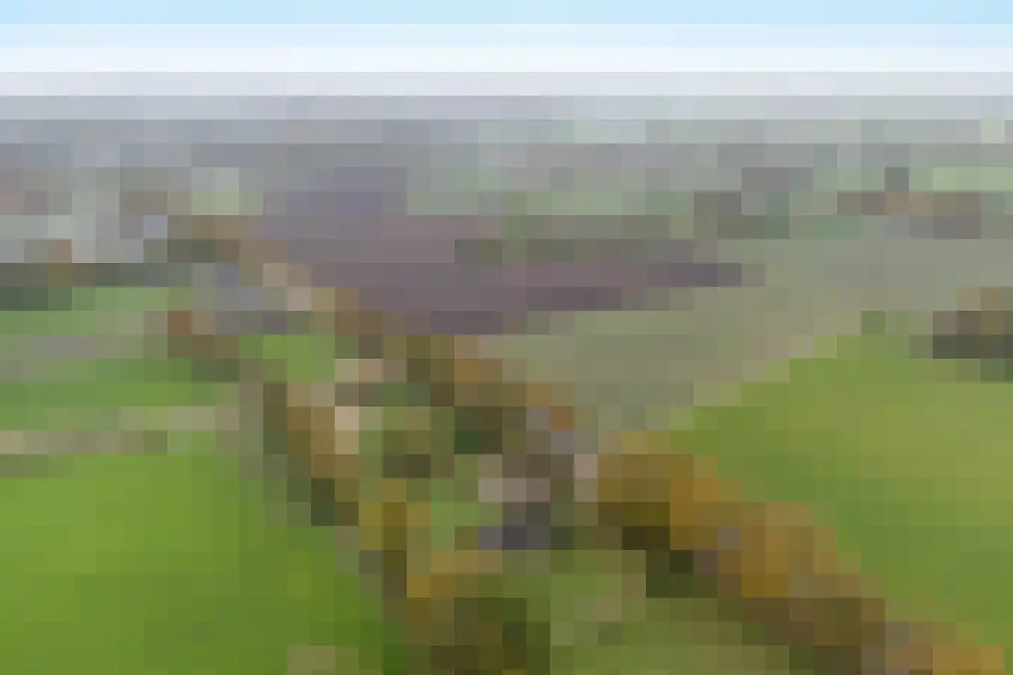 Hondemotsweg 16 Raalte thumbnail 7