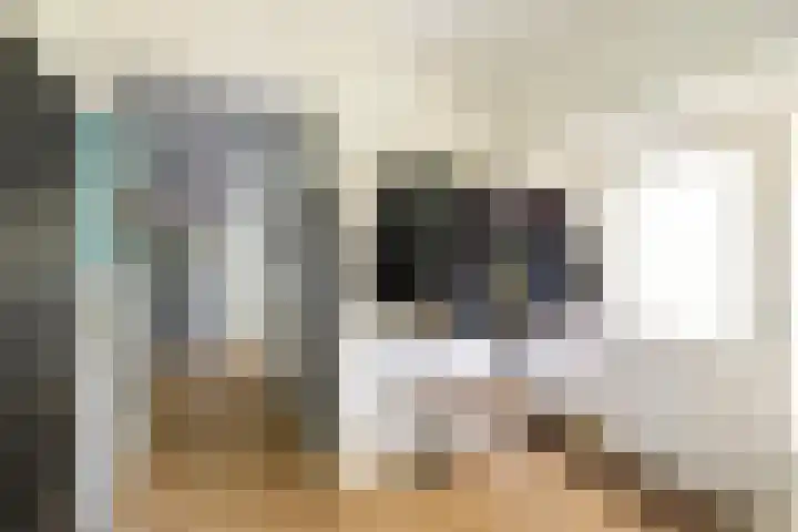 Hondemotsweg 32 Raalte thumbnail 22