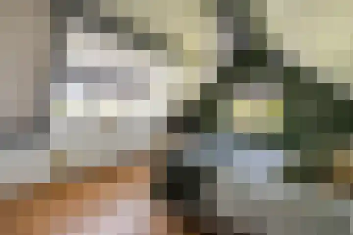 Hondemotsweg 32 Raalte thumbnail 26