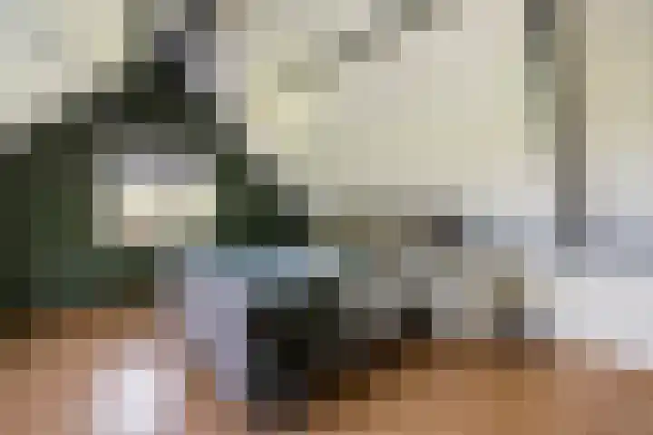 Hondemotsweg 32 Raalte thumbnail 27
