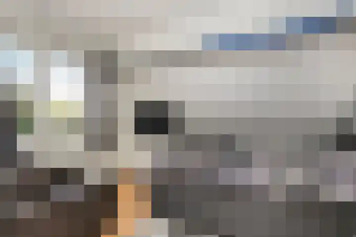 Hondemotsweg 32 Raalte thumbnail 28