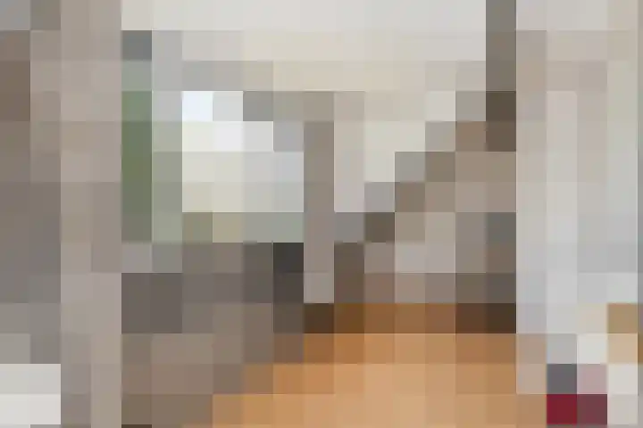 Hondemotsweg 32 Raalte thumbnail 30