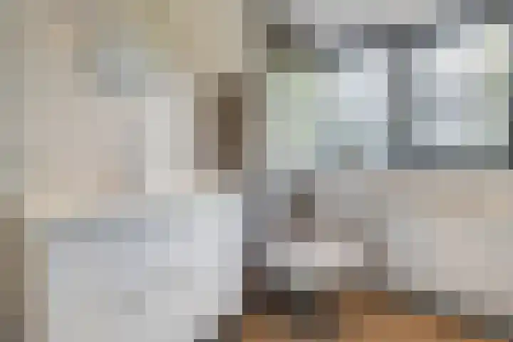 Hondemotsweg 32 Raalte thumbnail 31