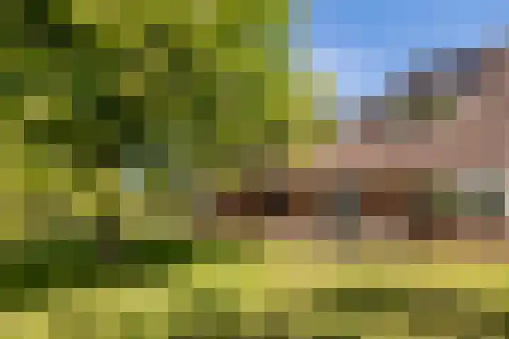 Hondemotsweg 32 Raalte thumbnail 34