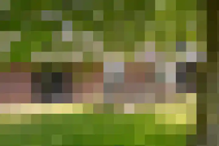 Hondemotsweg 32 Raalte thumbnail 35
