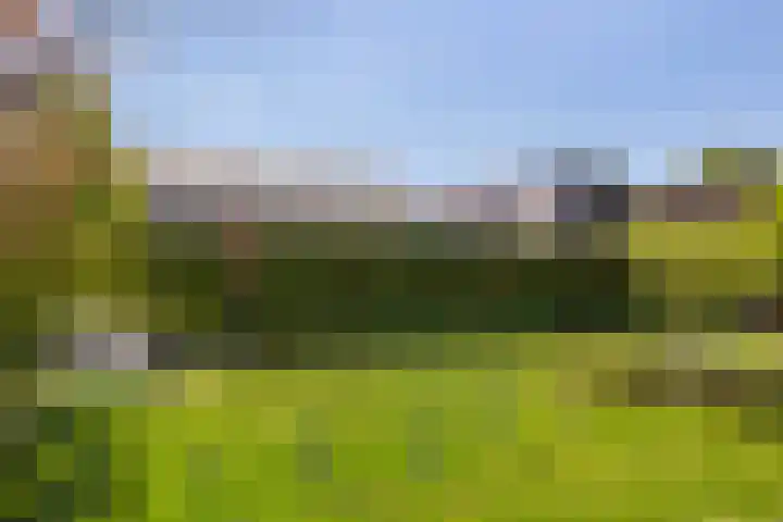 Hondemotsweg 32 Raalte thumbnail 36