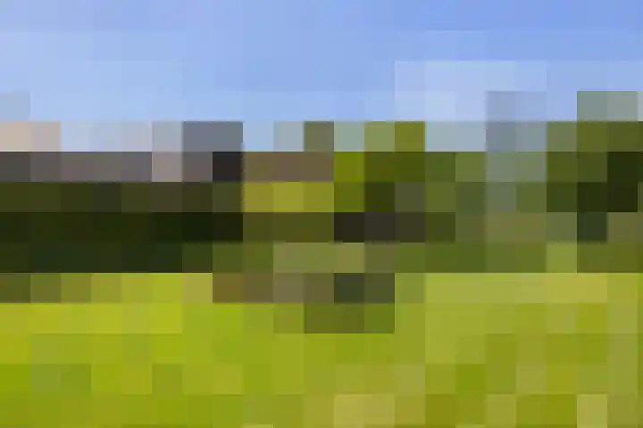 Hondemotsweg 32 Raalte thumbnail 37