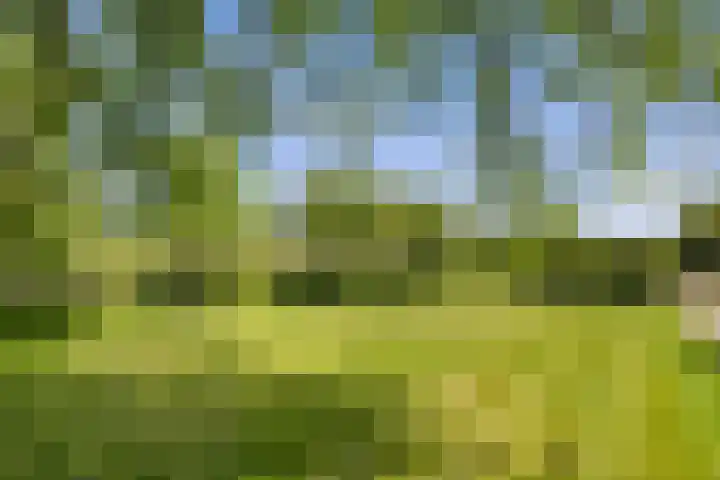 Hondemotsweg 32 Raalte thumbnail 38