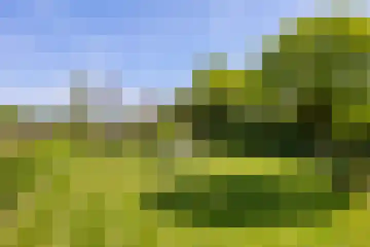 Hondemotsweg 32 Raalte thumbnail 39