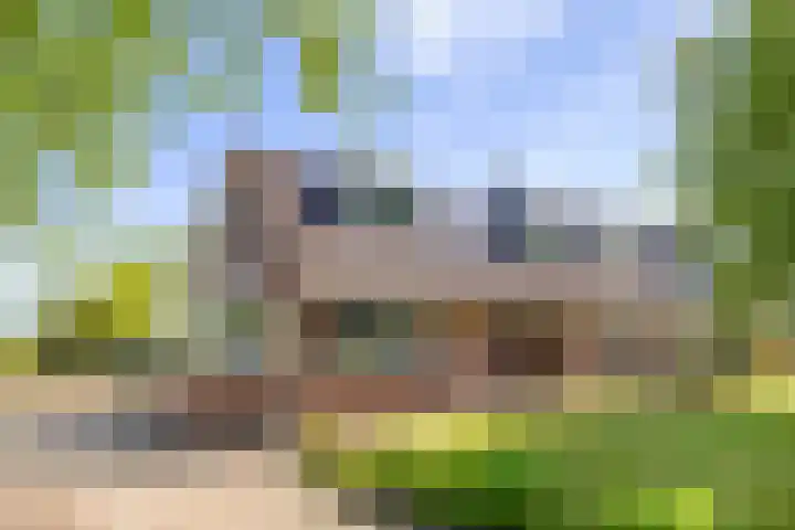 Hondemotsweg 32 Raalte thumbnail 4