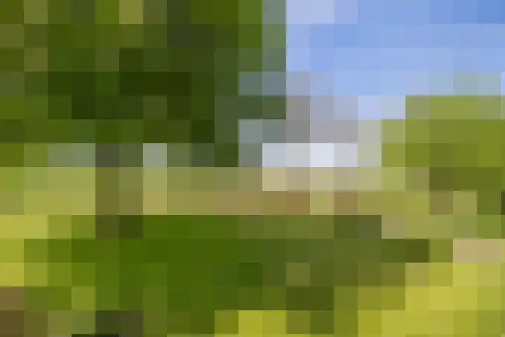 Hondemotsweg 32 Raalte thumbnail 40