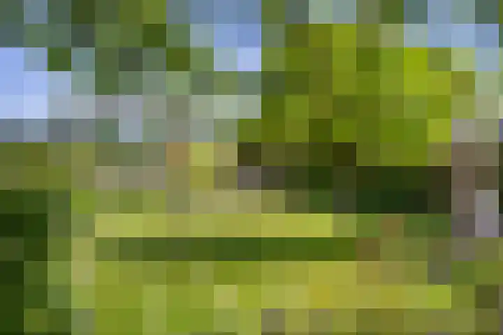 Hondemotsweg 32 Raalte thumbnail 41