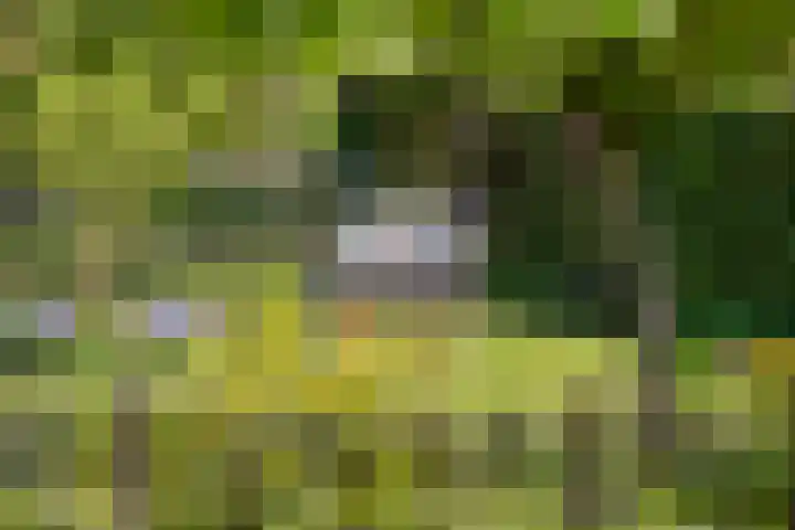 Hondemotsweg 32 Raalte thumbnail 42