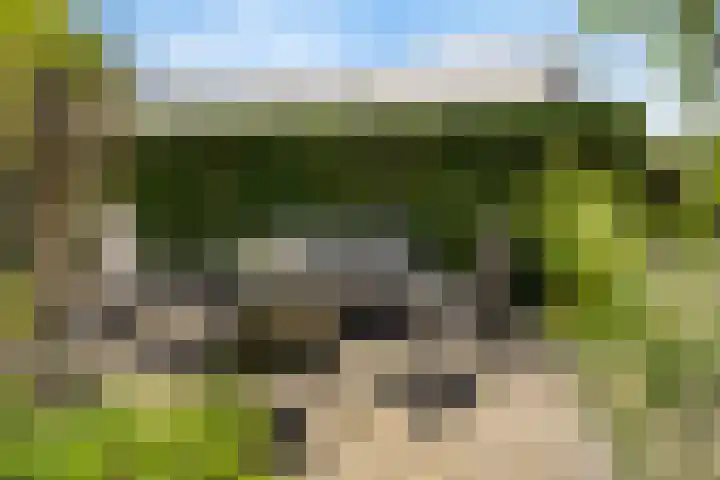Hondemotsweg 32 Raalte thumbnail 43