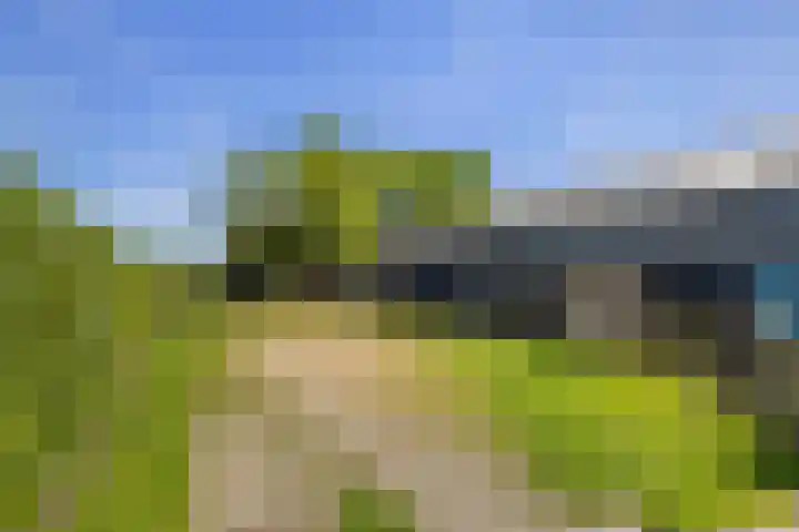 Hondemotsweg 32 Raalte thumbnail 47