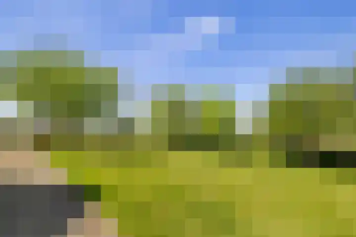 Hondemotsweg 32 Raalte thumbnail 48