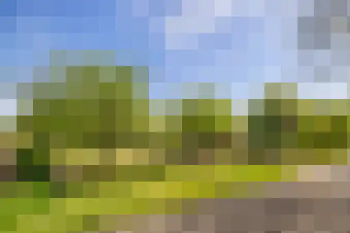 Hondemotsweg 32 Raalte thumbnail 49