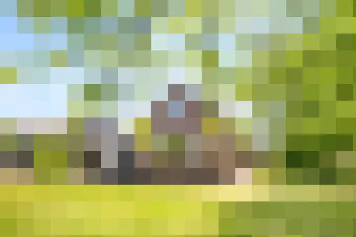 Hondemotsweg 32 Raalte thumbnail 5