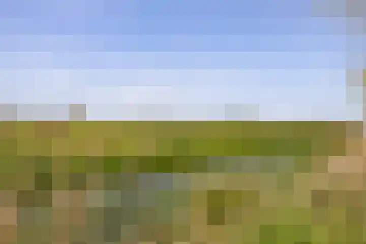Hondemotsweg 32 Raalte thumbnail 51