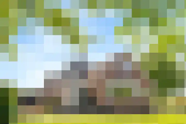 Hondemotsweg 32 Raalte thumbnail 7