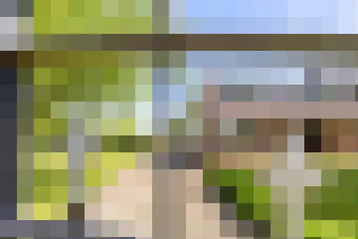 Hondemotsweg 32 Raalte thumbnail 8