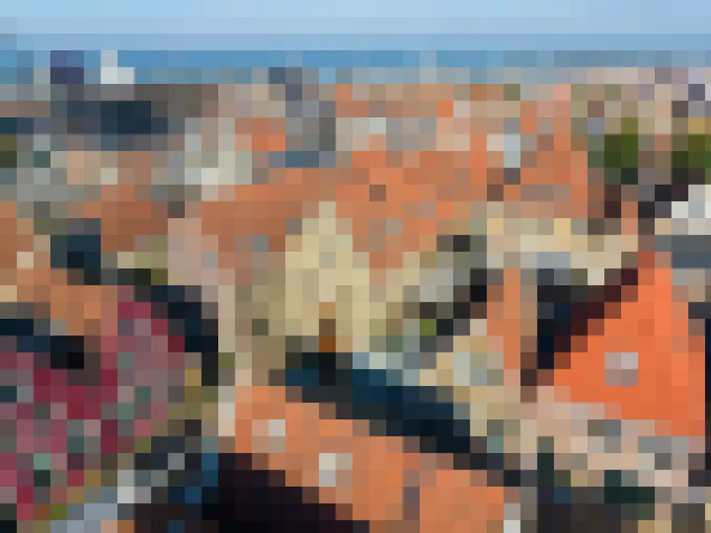 Hondenstraat 5 B Harlingen thumbnail 14