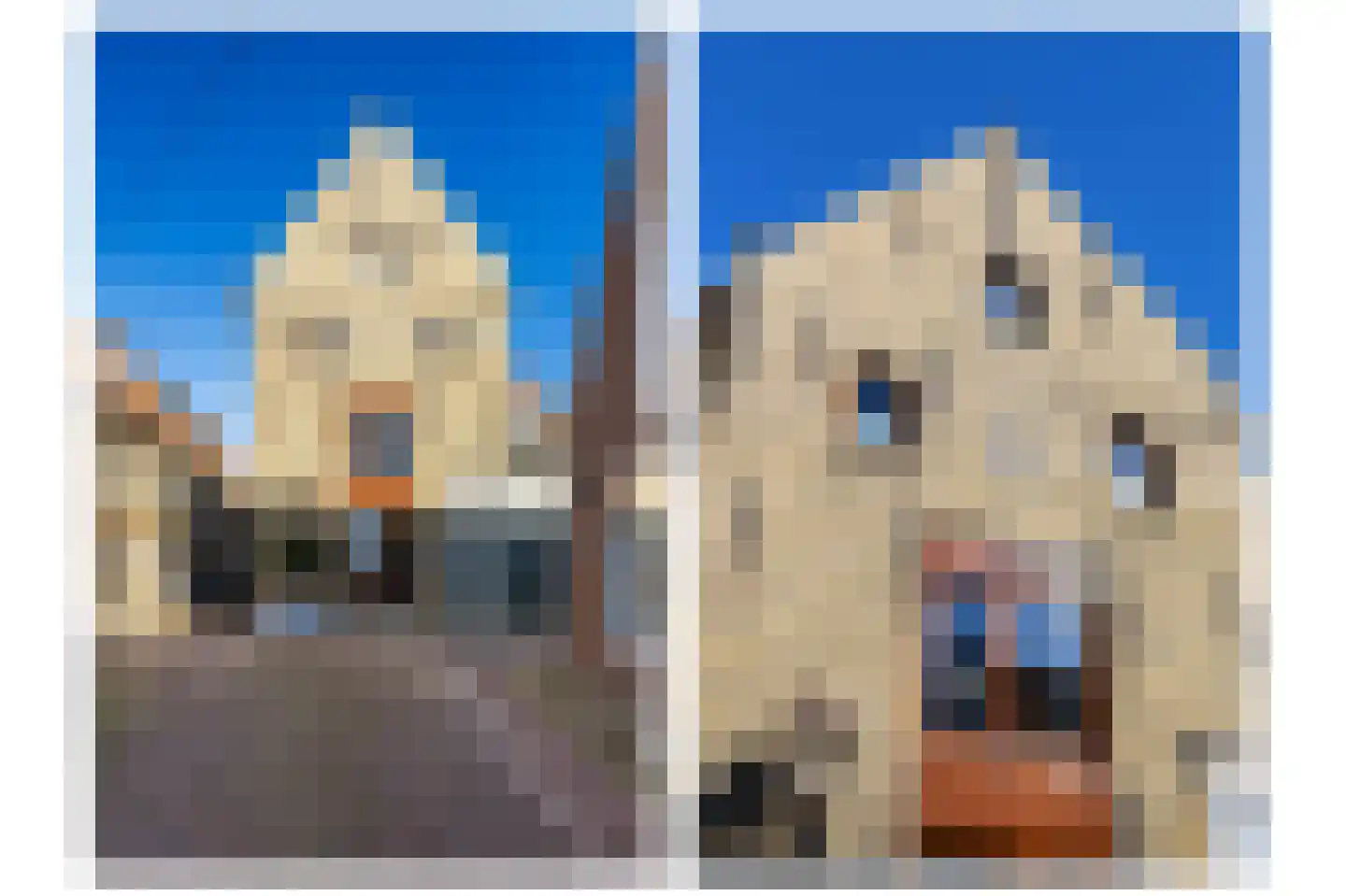 Hondenstraat 5 B Harlingen thumbnail 17