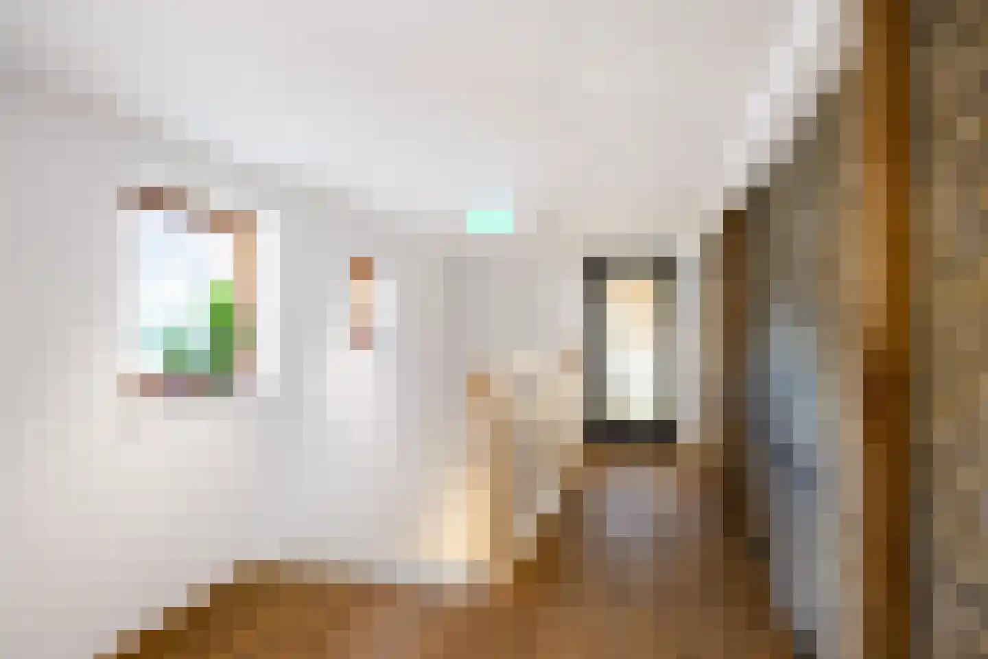 Hondenstraat 5 B Harlingen thumbnail 21