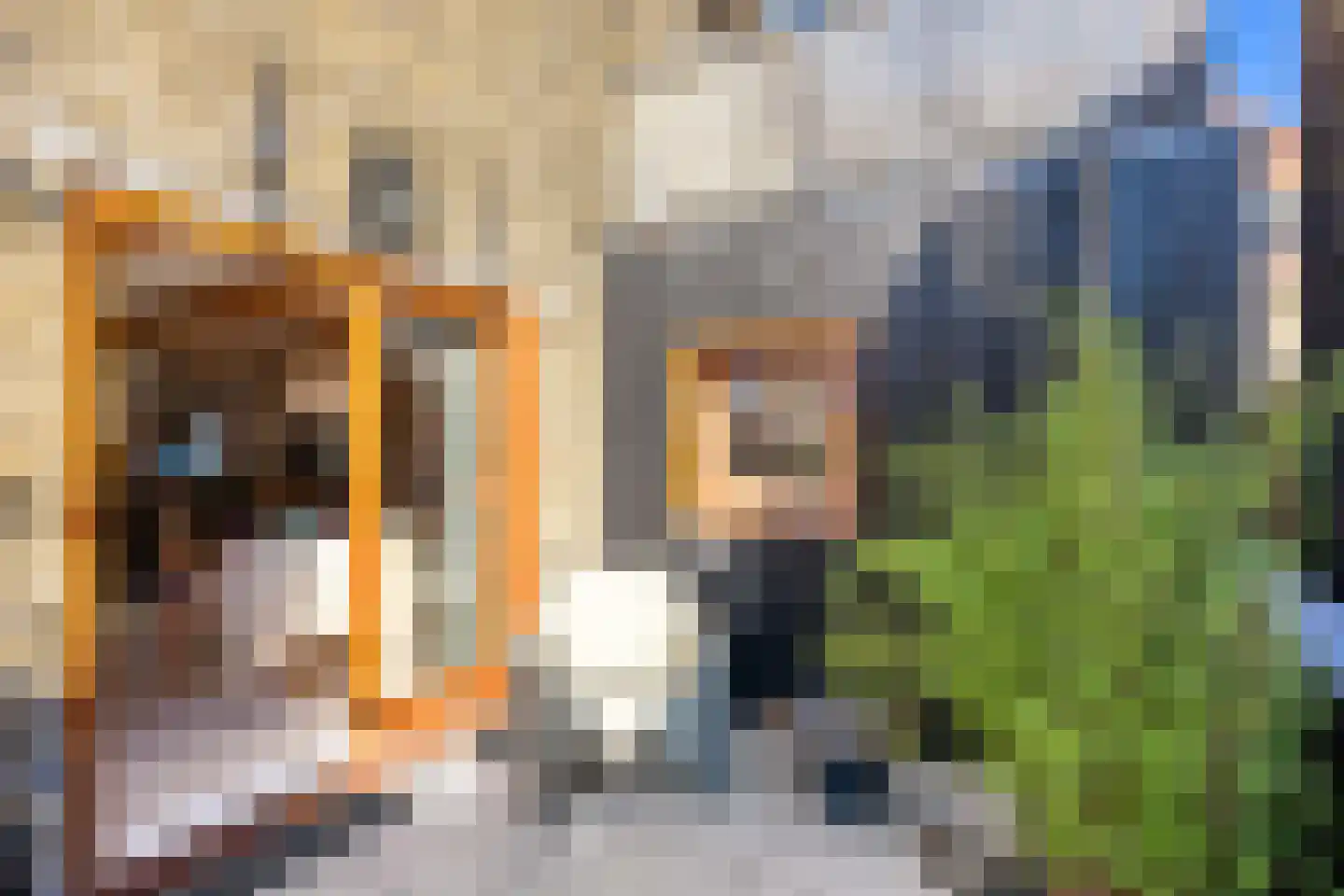 Hondenstraat 5 B Harlingen thumbnail 30