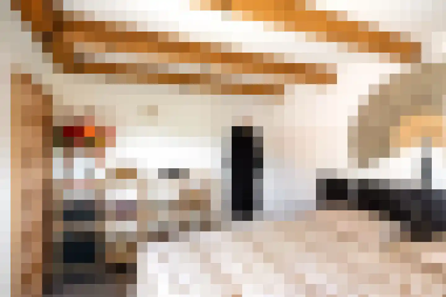 Hondenstraat 5 B Harlingen thumbnail 33