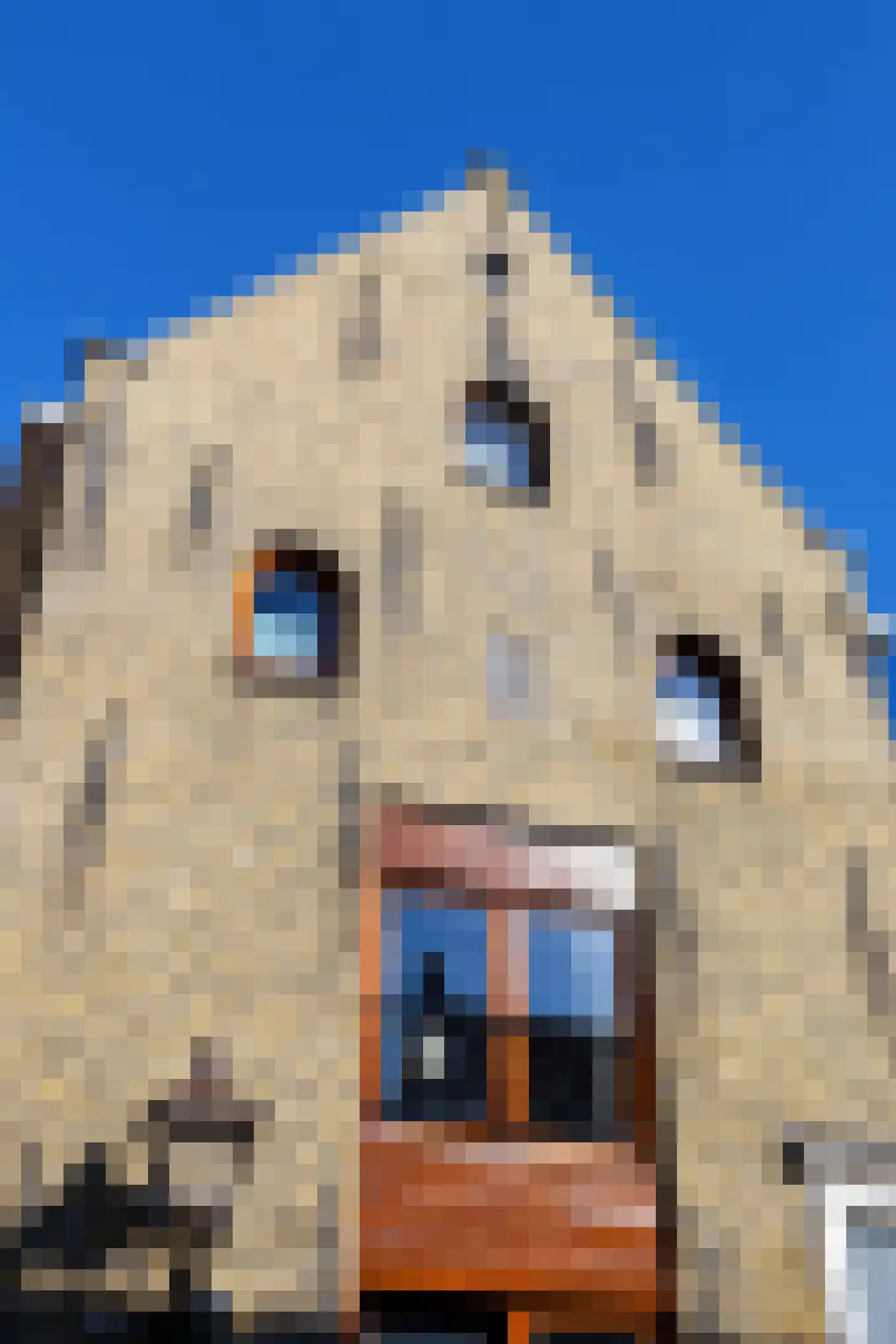 Hondenstraat 5 B Harlingen thumbnail 49