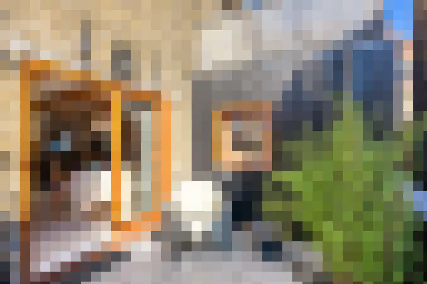 Hondenstraat 5 B Harlingen thumbnail 5