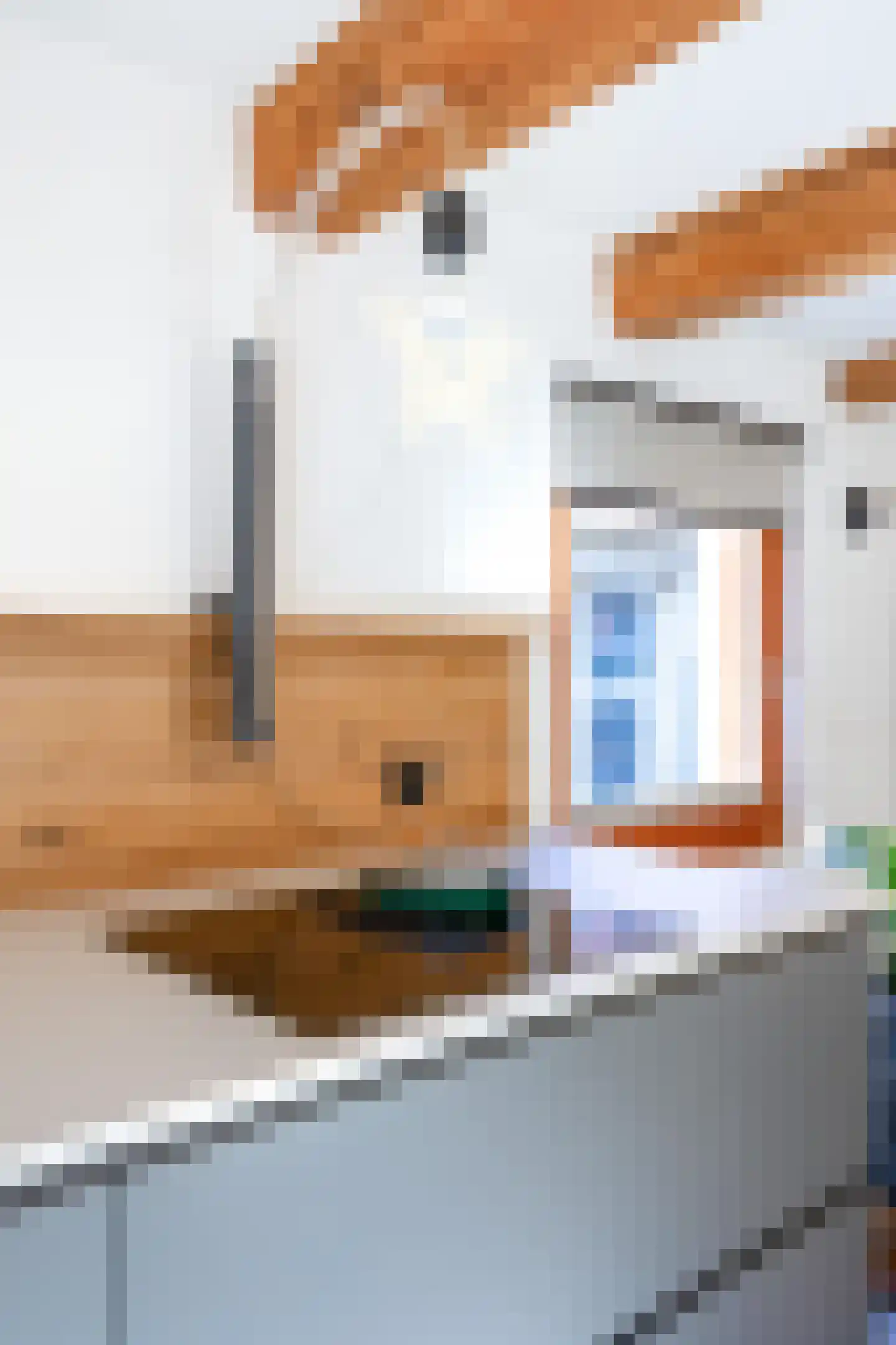 Hondenstraat 5 B Harlingen thumbnail 50