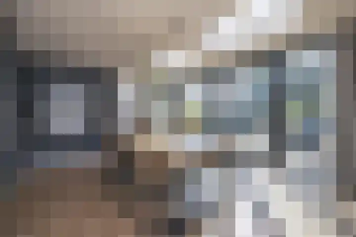 Honderdbunder 1 Breda thumbnail 10