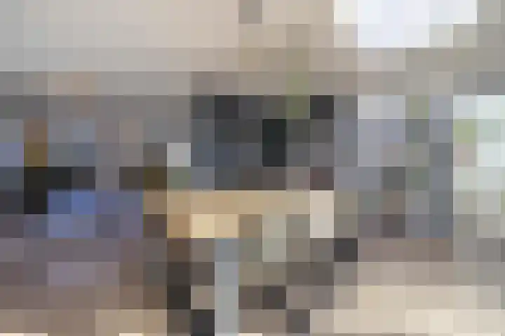 Honderdbunder 1 Breda thumbnail 11