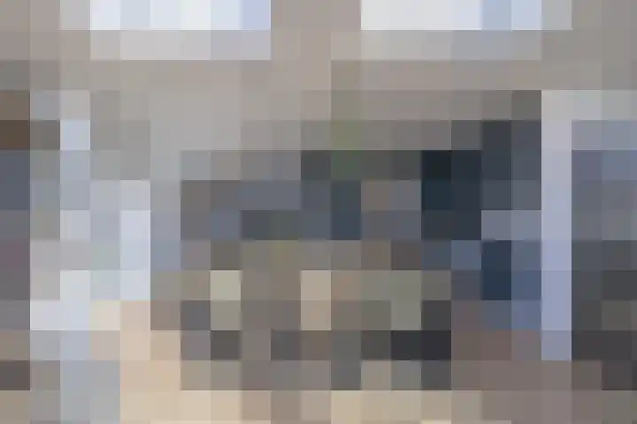 Honderdbunder 1 Breda thumbnail 12