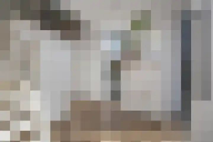 Honderdbunder 1 Breda thumbnail 13