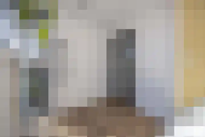 Honderdbunder 1 Breda thumbnail 14
