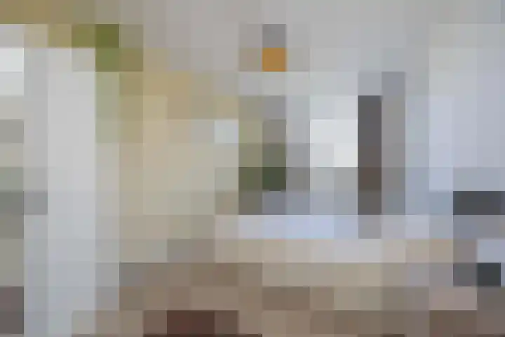 Honderdbunder 1 Breda thumbnail 16